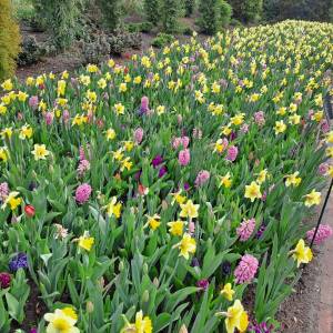 WhatsApp_Image_2026-04-02_at_00.15.29_5_original