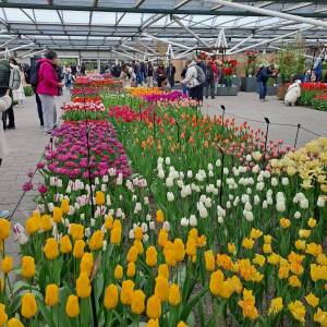 WhatsApp_Image_2026-04-02_at_00.15.31_1_original